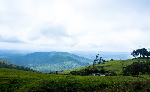 于根伟：刘俊贤留队可能性很大；连续两年第6，已是打到极限