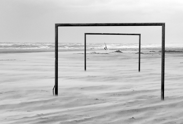 他们仍有机 他们仍有机