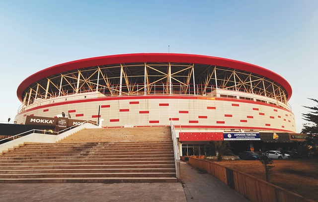 单靠施罗德 单靠施罗德