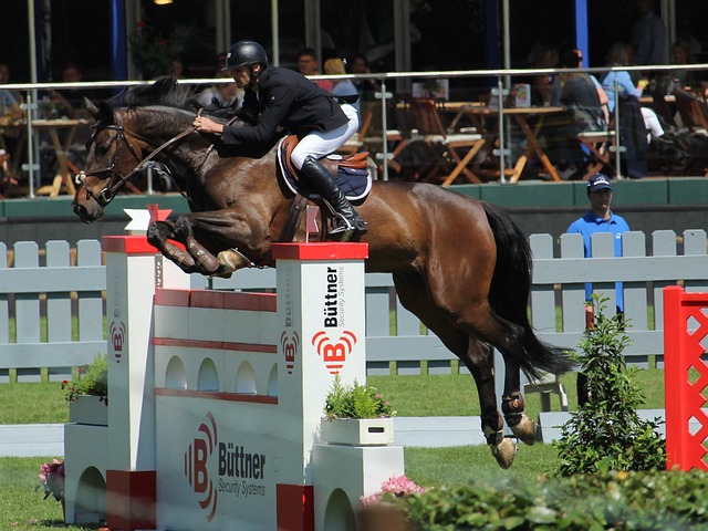 面角色与影 面角色与影