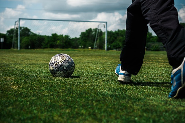 汉森林打开 汉森林打开