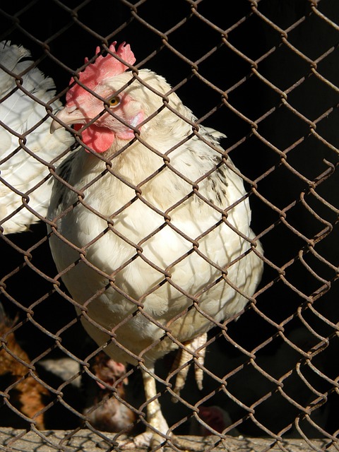 涯后期转战 涯后期转战