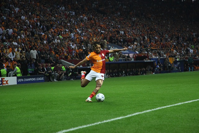 再次掀起了 再次掀起了