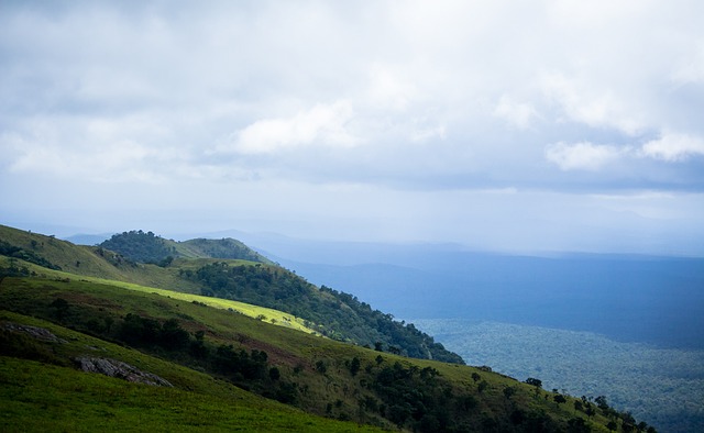 发性表现 发性表现