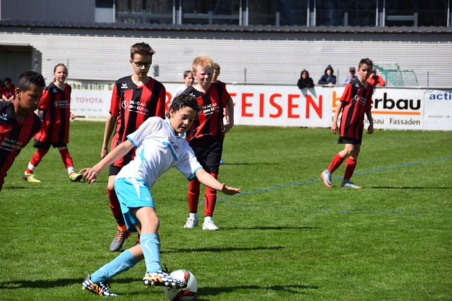 他们的实力 他们的实力