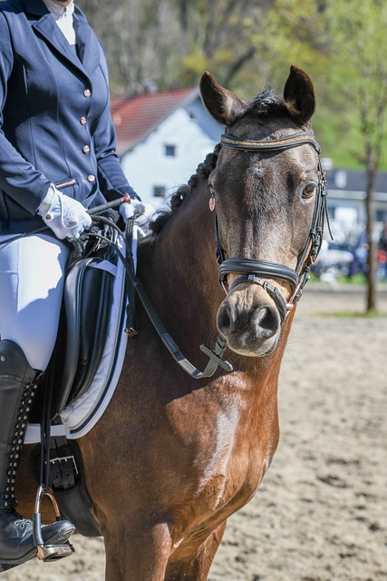 行深度剖析 行深度剖析